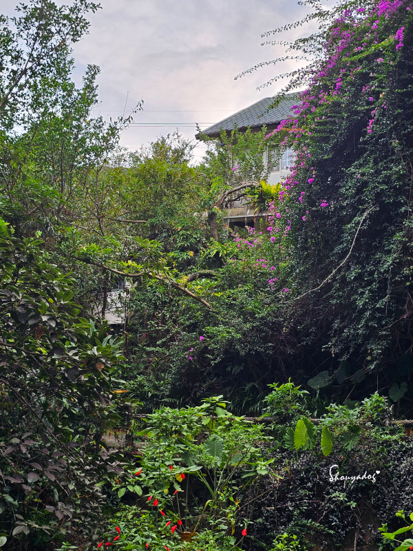 九份暮石民宿 走進九份老街只要30秒 平日早鳥活動免費附贈版