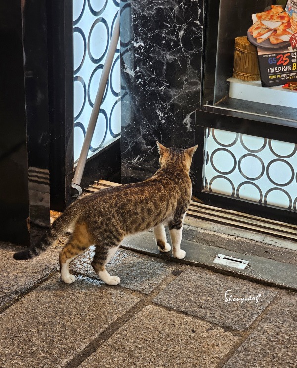 九份暮石民宿 走進九份老街只要30秒 平日早鳥活動免費附贈版