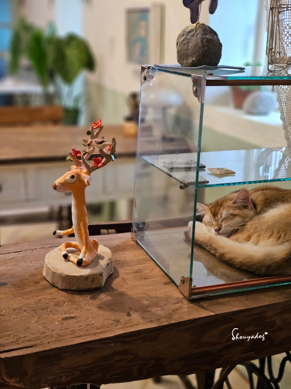 九份暮石民宿 走進九份老街只要30秒 平日早鳥活動免費附贈版