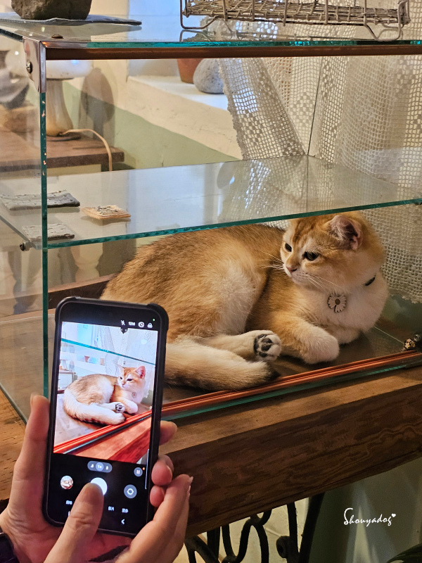 九份暮石民宿 走進九份老街只要30秒 平日早鳥活動免費附贈版