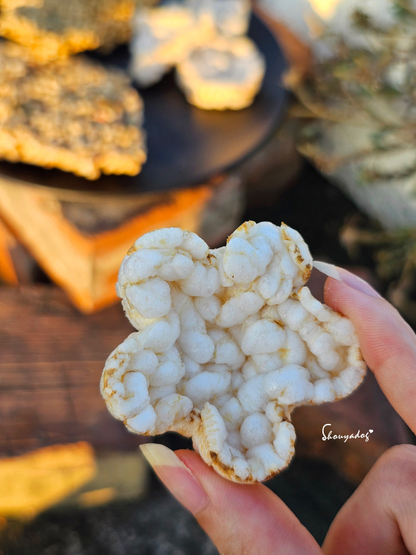 追劇零食推薦 小朋友點心 信食為糧 樂米脆 海派蟹語 醬淋苔