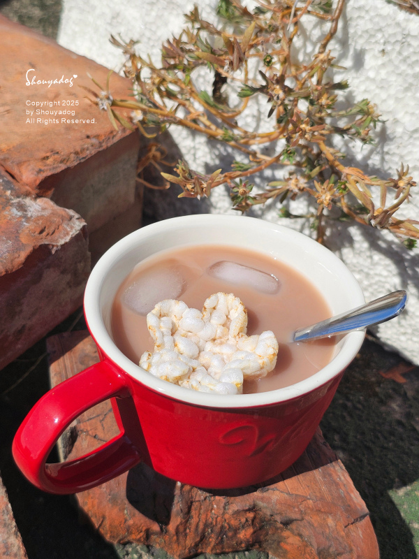 追劇零食推薦 小朋友點心 信食為糧 樂米脆 海派蟹語 醬淋苔