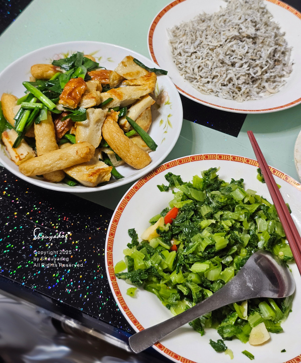 TiDdi 翻轉式冷暖扇 超低噪音 忽冷忽熱的剋星 EcoA