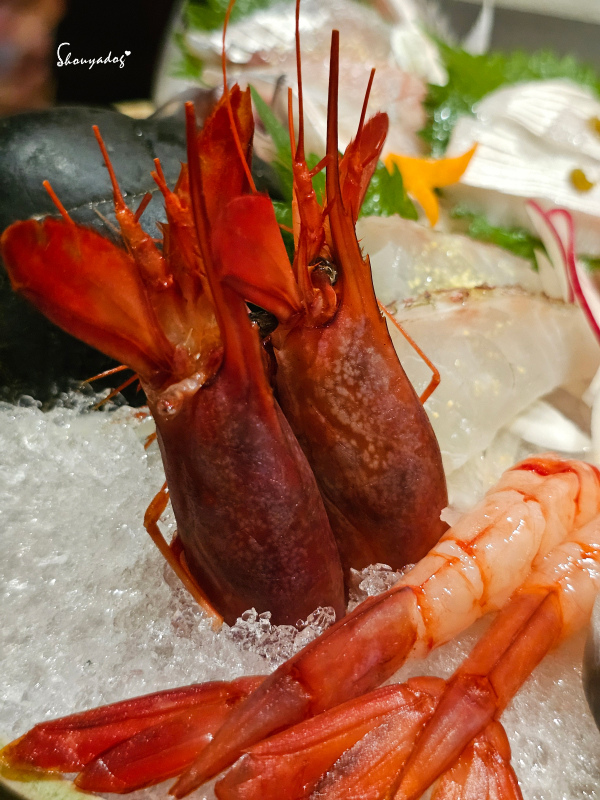 信義區美食 心月懷石日本料理 慶生首選