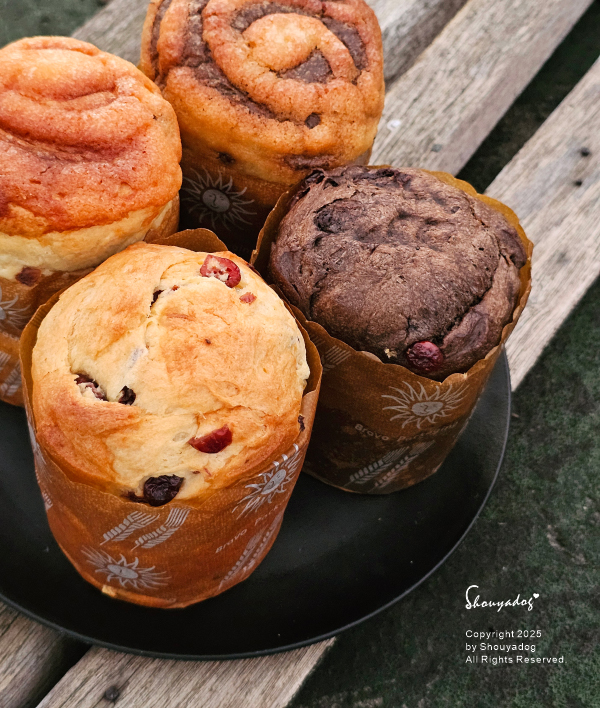 Merry Christmas｜威利與查理 聖誕潘娜朵尼