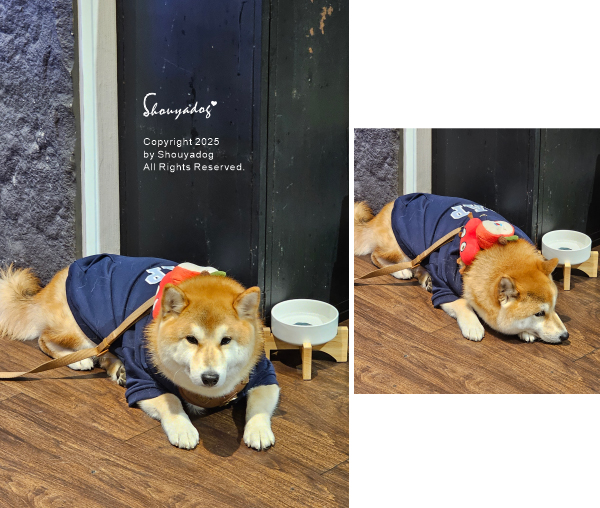 潮牛殿溫體牛創意鍋物｜台北溫體牛火鍋食記｜祝我自己生日快樂