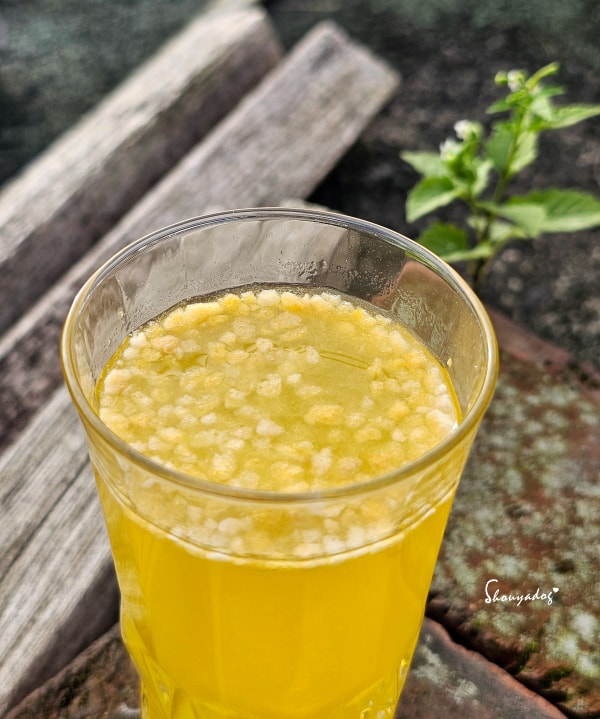 Gelovery芒果膠原蛋白飲果肉特寫