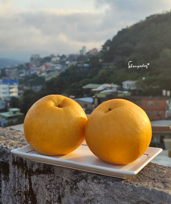 圓潤飽滿的超大韓國梨，份量感十足
