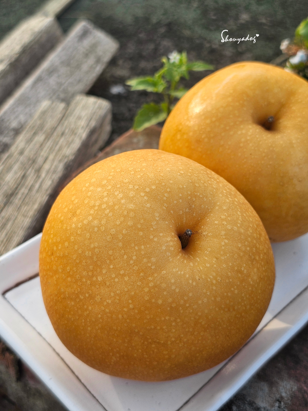 韓國梨表皮特寫