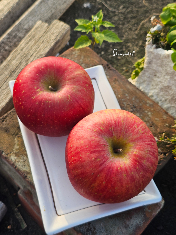 紅潤誘人的日本富士蘋果，色澤鮮豔