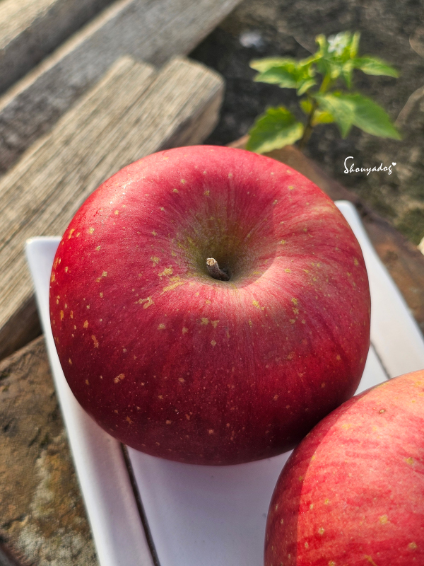 紅潤誘人的日本富士蘋果，色澤鮮豔-特寫