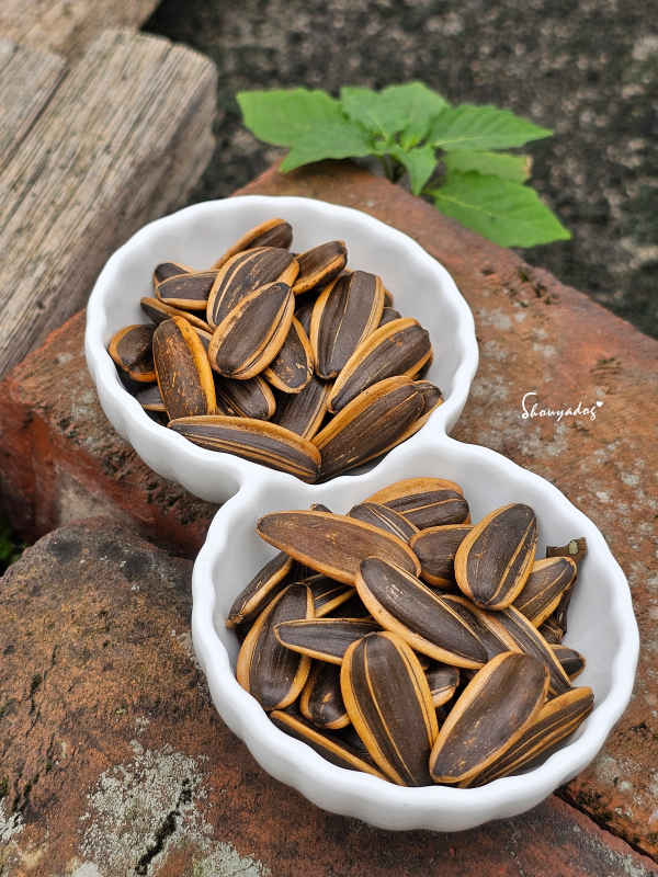 榮獲 iTQi 國際風味暨品質評鑑二星獎的葵瓜子