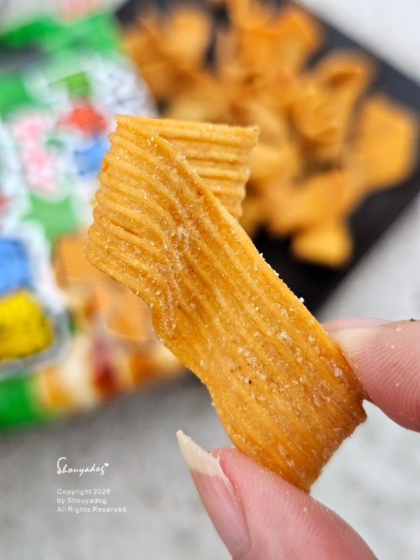 星太郎點心條餅香菜花生米血糕風味，神還原街邊小吃味道