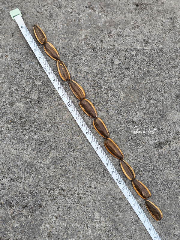 隨邊拿10顆起來測量都可以超過25公分的葵瓜子