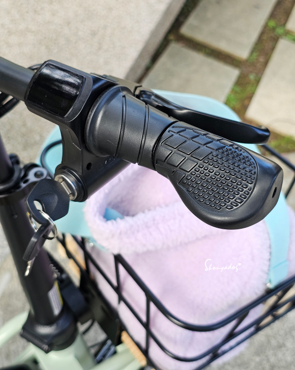 CyberCycle Antelope 小羚羊 多功能親子電輔車|小個子也能輕鬆駕馭的雲朵坐騎 - 第9張圖 CyberCycle小羚羊規格-鑰匙-把手-Antelope36V