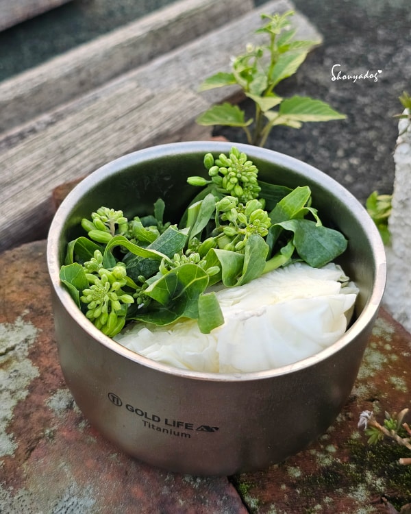 闔樂泰的露營野餐輕盈質感生活|GOLD LIFE 鈦境無毒食安可微波純鈦保鮮盒 - 第11張圖 裝著芥藍菜和高麗菜的鈦境純鈦雙層防燙碗,好美