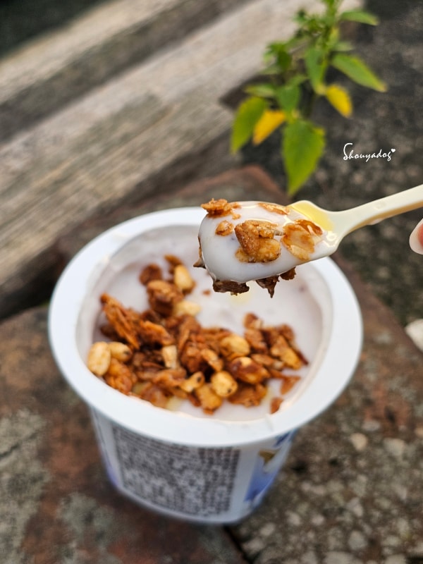 黑白大廚靈魂食材|Co’day 好日籽頂級紫蘇籽油:陸地上的深海魚油,Omega-3 補給,打造崔康祿、無菜單阿姨的道地韓式風味 - 第17張圖 紫蘇籽油怎麼吃-優格杯健康吃法-好日籽紫蘇油評價-Co'day好日籽