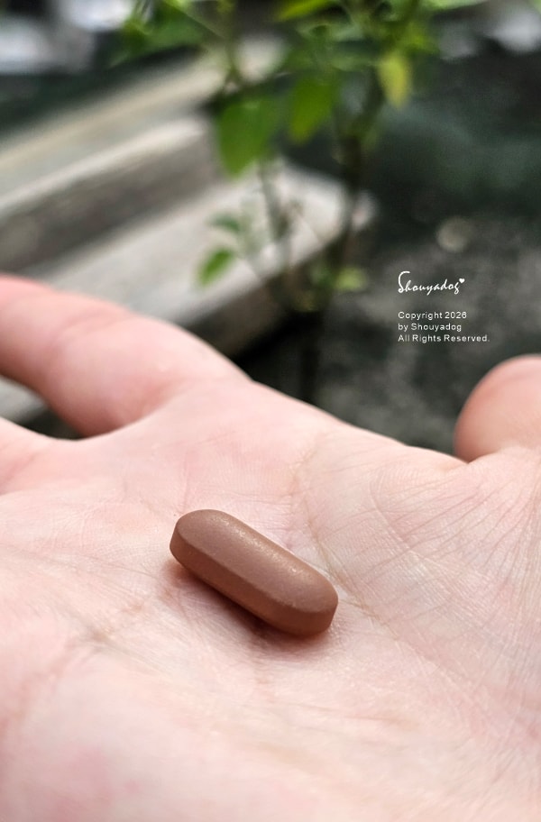 紅麴推薦|Metamin 健康 3D 紅麴+鉻雙效錠:好吞錠劑,外食族與熟齡族的代謝管理 - 第7張圖 Metamin紅麴錠與一般維他命對比-縮小42%更好吞嚥的錠劑