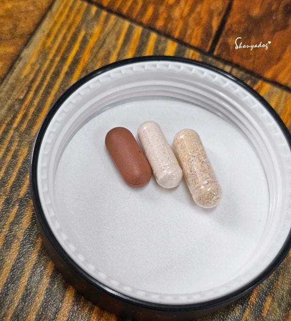 紅麴推薦|Metamin 健康 3D 紅麴+鉻雙效錠:好吞錠劑,外食族與熟齡族的代謝管理 - 第8張圖 Metamin紅麴錠與一般維他命對比-縮小42%更好吞嚥的錠劑-比大小