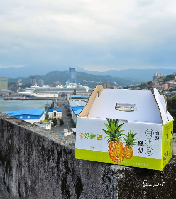 來自屏東大武山的精品水果：深受日本連鎖超市青睞的小蜜鳳梨
