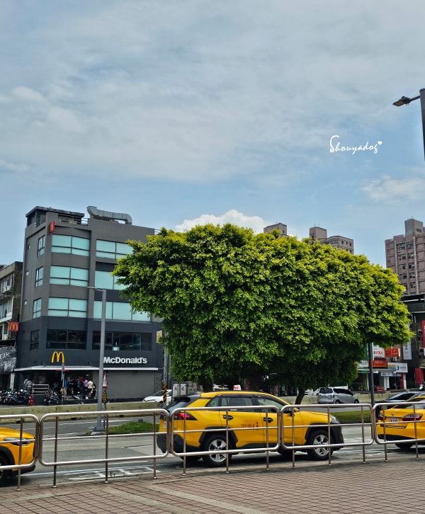 淡水校園秘境|QP Terrace 覺軒會館:森林系玻璃小屋的精緻午餐與宮廷裡的烏龜疊疊樂 - 第2張圖 淡水校園秘境|QP Terrace 覺軒會館:森林系玻璃小屋的精緻午餐與宮廷裡的烏龜疊疊樂