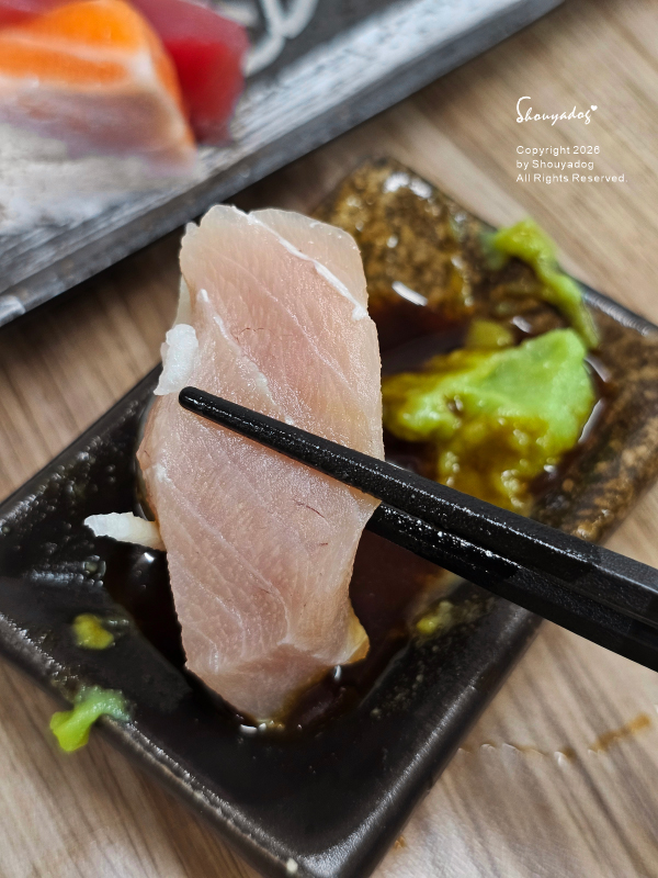淡水美食推薦-阿賓哥平價生魚片丼飯-夾起生魚片