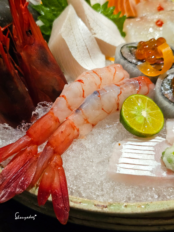 信義區日本料理推薦-心月懷石澎湃季節生魚片盛合-胭脂蝦