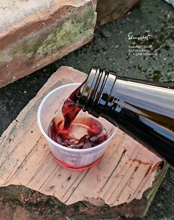 液態鐵推薦|雲揚生技德國鐵定養顏口服液:天然咖哩葉萃取植物鐵,黃金6莓果打造紅潤好氣色!全素食經期後補鐵首選🌿 - 第3張圖 植物鐵推薦-天然咖哩葉萃取鐵定養顏口服液與黃金6莓果無添加防腐劑