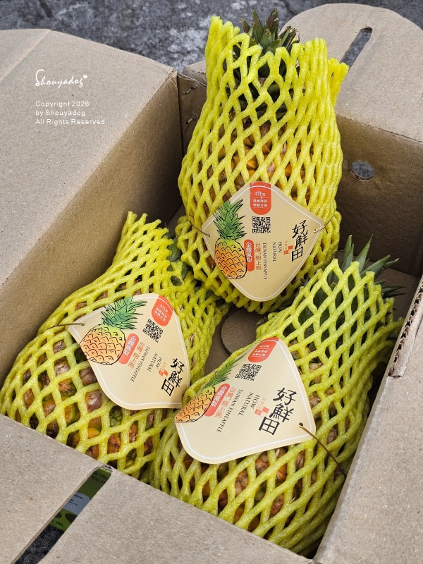 屏東精品小蜜鳳梨禮盒-外銷日本精品水果