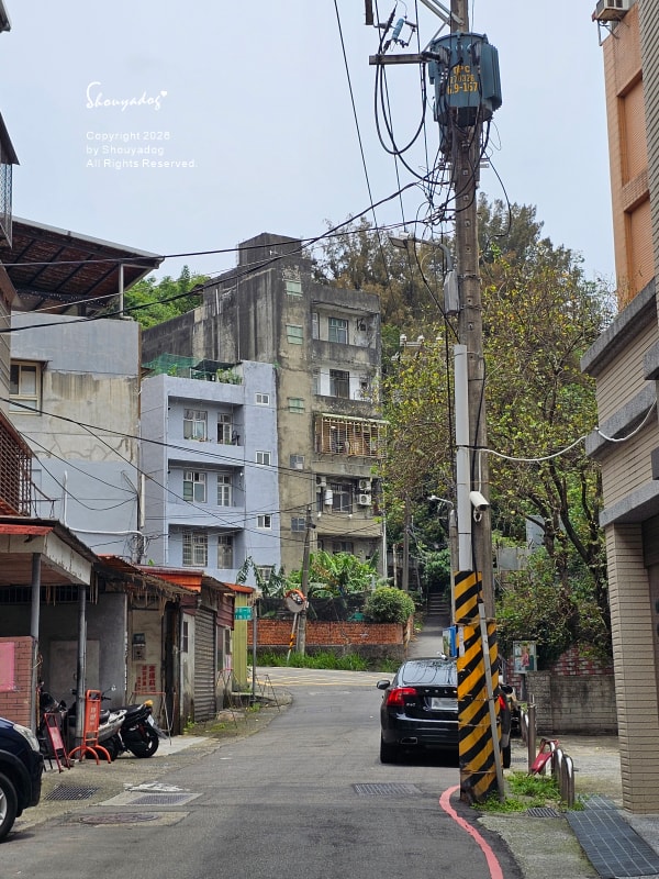 淡水校園秘境|QP Terrace 覺軒會館:森林系玻璃小屋的精緻午餐與宮廷裡的烏龜疊疊樂 - 第3張圖 淡水校園秘境|QP Terrace 覺軒會館:森林系玻璃小屋的精緻午餐與宮廷裡的烏龜疊疊樂