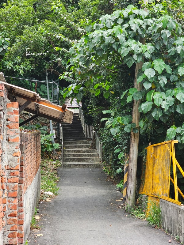 淡水校園秘境|QP Terrace 覺軒會館:森林系玻璃小屋的精緻午餐與宮廷裡的烏龜疊疊樂 - 第4張圖 淡水校園秘境|QP Terrace 覺軒會館:森林系玻璃小屋的精緻午餐與宮廷裡的烏龜疊疊樂