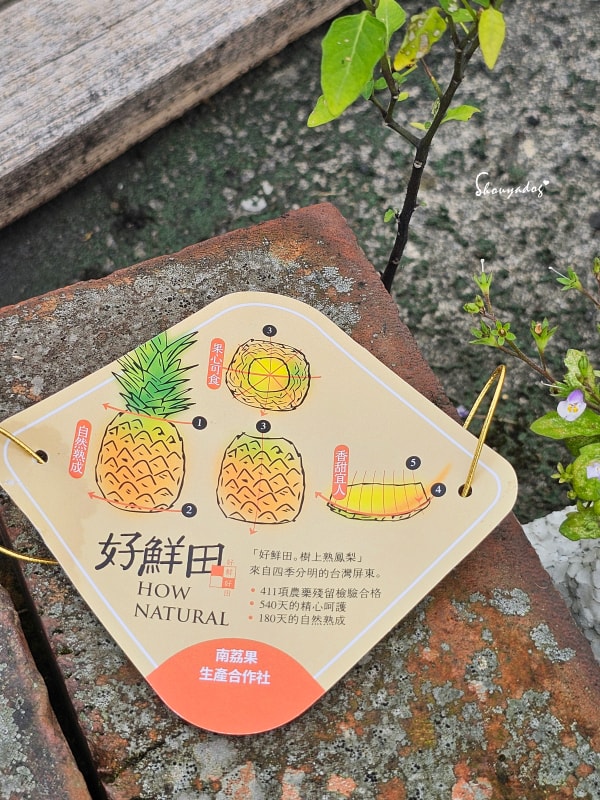 屏東精品小蜜鳳梨禮盒-外銷日本精品水果-殺鳳梨的方法