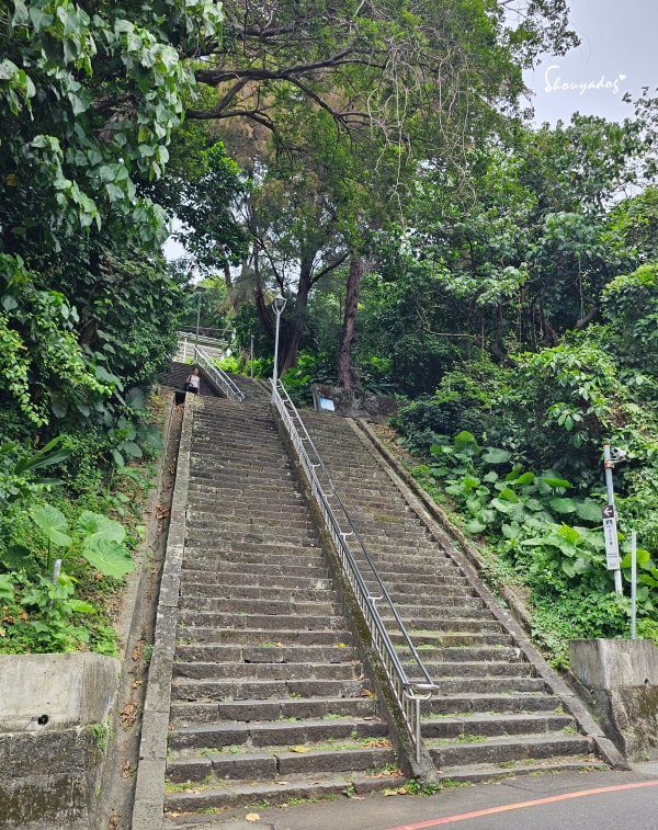 淡水校園秘境|QP Terrace 覺軒會館:森林系玻璃小屋的精緻午餐與宮廷裡的烏龜疊疊樂 - 第5張圖 132階克難坡
