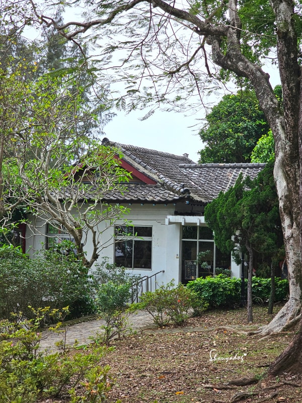 淡水校園秘境|QP Terrace 覺軒會館:森林系玻璃小屋的精緻午餐與宮廷裡的烏龜疊疊樂 - 第45張圖 QP Terrace 覺軒會館-淡江大學森林系餐廳-白色外觀