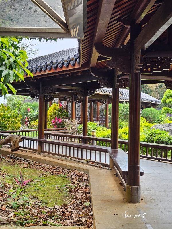 淡水校園秘境|QP Terrace 覺軒會館:森林系玻璃小屋的精緻午餐與宮廷裡的烏龜疊疊樂 - 第47張圖 淡江大學覺軒花園烏龜拍照-有趣烏龜疊疊樂-淡水秘境景點