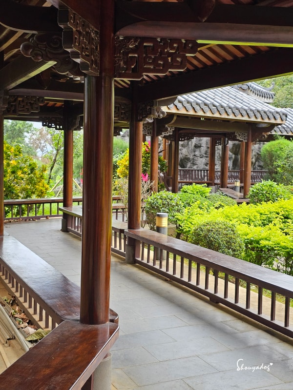淡水校園秘境|QP Terrace 覺軒會館:森林系玻璃小屋的精緻午餐與宮廷裡的烏龜疊疊樂 - 第48張圖 淡江大學覺軒花園烏龜拍照-有趣烏龜疊疊樂-淡水秘境景點-宮廷