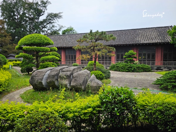 淡水校園秘境|QP Terrace 覺軒會館:森林系玻璃小屋的精緻午餐與宮廷裡的烏龜疊疊樂 - 第50張圖 淡江大學覺軒花園烏龜拍照-有趣烏龜疊疊樂-淡水秘境景點-花園造景