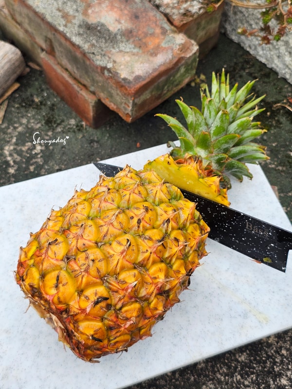 小蜜鳳梨產銷履歷認證-通過411項農藥檢驗-屏東鳳梨推薦