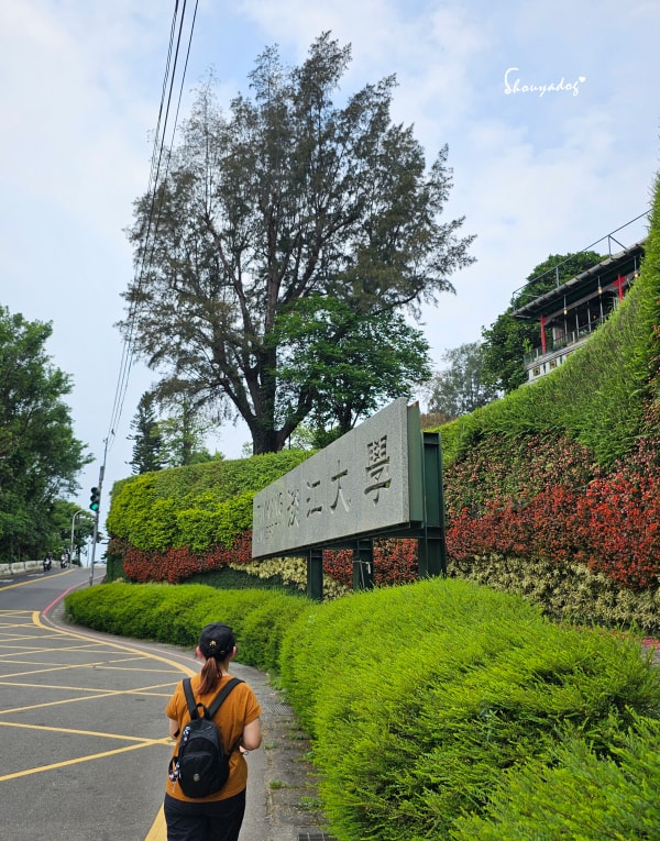 淡水校園秘境|QP Terrace 覺軒會館:森林系玻璃小屋的精緻午餐與宮廷裡的烏龜疊疊樂 - 第6張圖 淡江大學省力進入路線-避開克難坡地圖指引-淡水旅遊攻略-shouyadog