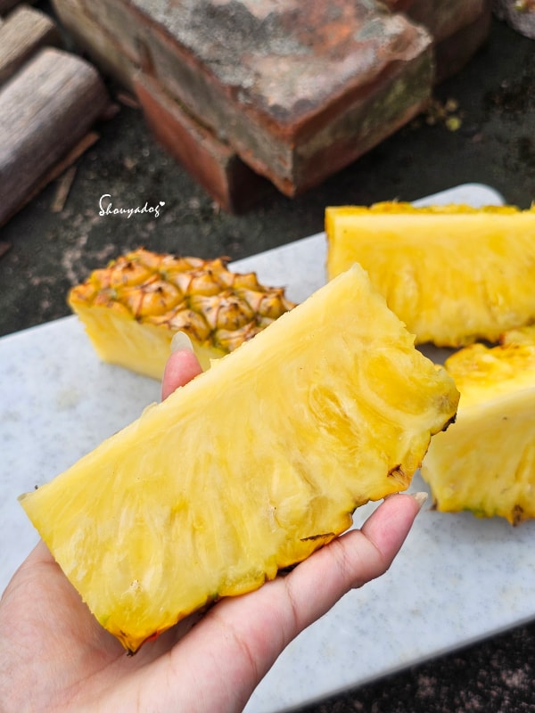 小蜜鳳梨切片紋理-肉細芯嫩不咬舌-天然18度甜度-果肉