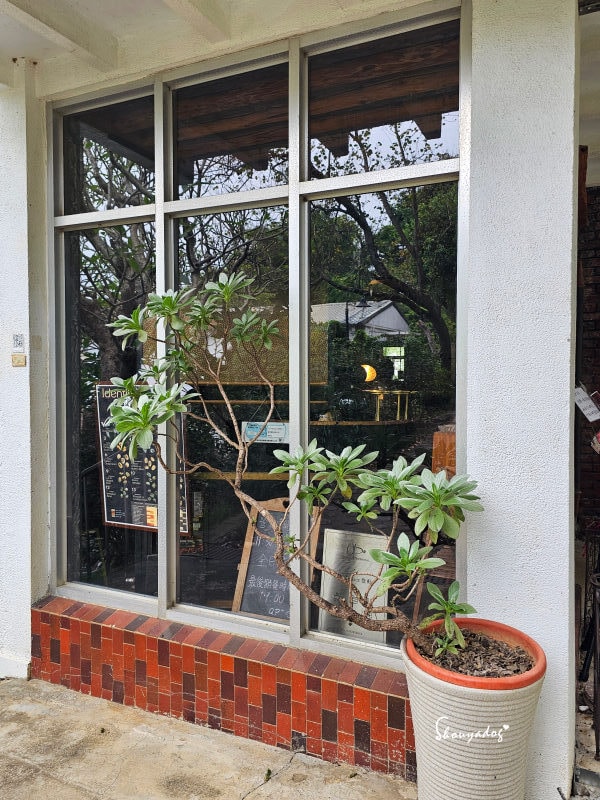 淡水校園秘境|QP Terrace 覺軒會館:森林系玻璃小屋的精緻午餐與宮廷裡的烏龜疊疊樂 - 第10張圖 QP Terrace 覺軒會館-淡江大學森林系餐廳-窗邊