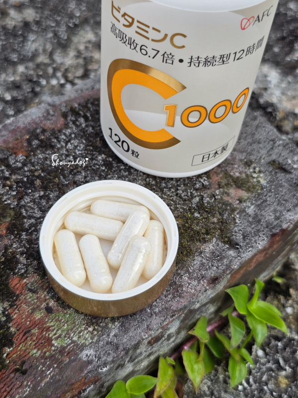 維他命C推薦|AFC 速攻維生素 C1000:膠原蛋白的完美神隊友,12小時起的續航力,夏日走跳必備的保養品! - 第3張圖 維他命C推薦|AFC 速攻維生素 C1000:膠原蛋白的完美神隊友,12小時起的續航力,夏日走跳必備的保養品!
