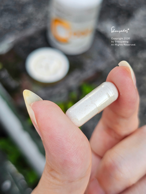維他命C推薦|AFC 速攻維生素 C1000:膠原蛋白的完美神隊友,12小時起的續航力,夏日走跳必備的保養品! - 第5張圖 維他命C推薦|AFC 速攻維生素 C1000:膠原蛋白的完美神隊友,12小時起的續航力,夏日走跳必備的保養品!