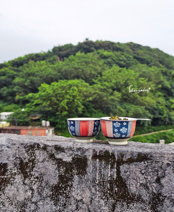 台灣高山茶推薦|森泓茶行大禹嶺:15年以上老手藝的手工嫩採與匠心調控,雲端雙峰的霸道冷礦感與仙氣蘭花香🫖 - 第5張圖 大禹嶺88K:冷冽霸氣的森林冷杉香,老茶饕著迷的霸道回甘