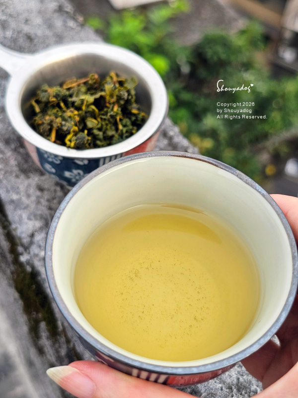 台灣高山茶推薦|森泓茶行大禹嶺:15年以上老手藝的手工嫩採與匠心調控,雲端雙峰的霸道冷礦感與仙氣蘭花香🫖 - 第9張圖 大禹嶺茶推薦-森泓茶行大禹嶺88K蜜綠金黃色茶湯-手持