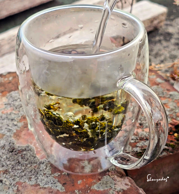 台灣高山茶推薦|森泓茶行大禹嶺:15年以上老手藝的手工嫩採與匠心調控,雲端雙峰的霸道冷礦感與仙氣蘭花香🫖 - 第11張圖 台灣烏龍茶推薦-森泓茶行大禹嶺90K清亮金黃色茶湯絲綢滑順蘭花香